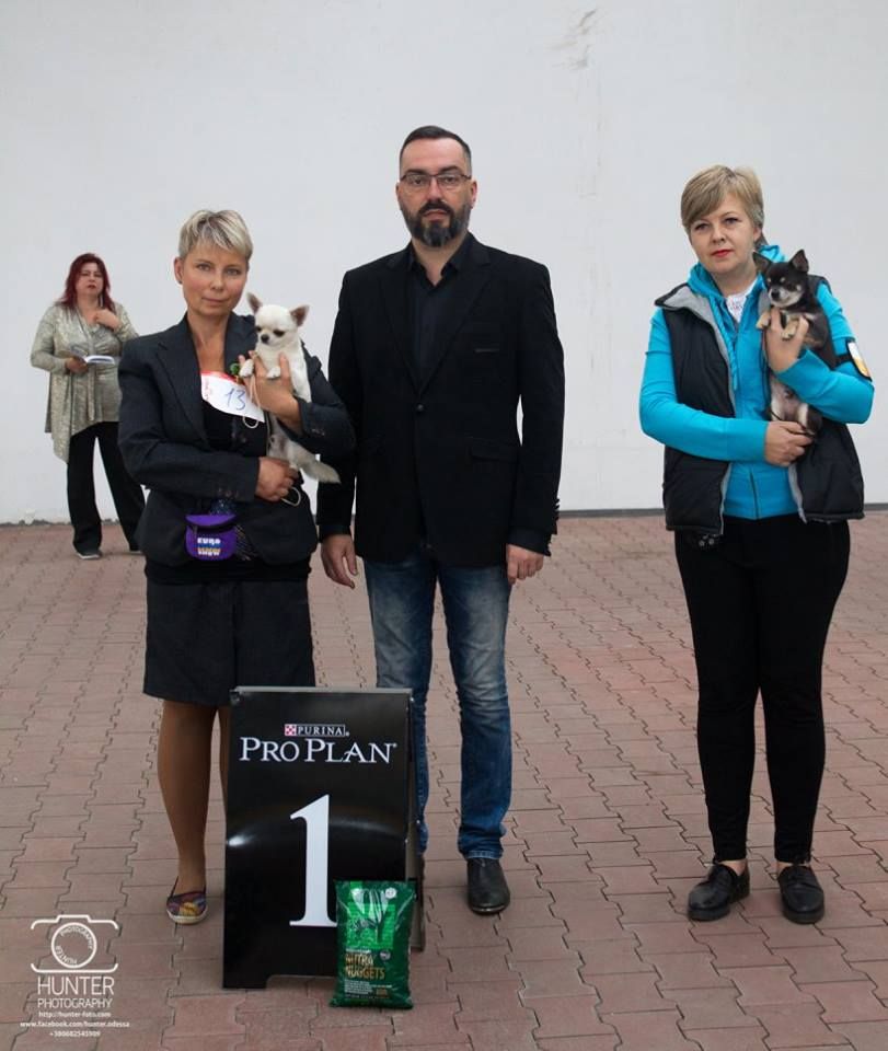 15.10.2017,Монопородная выставка FCI,