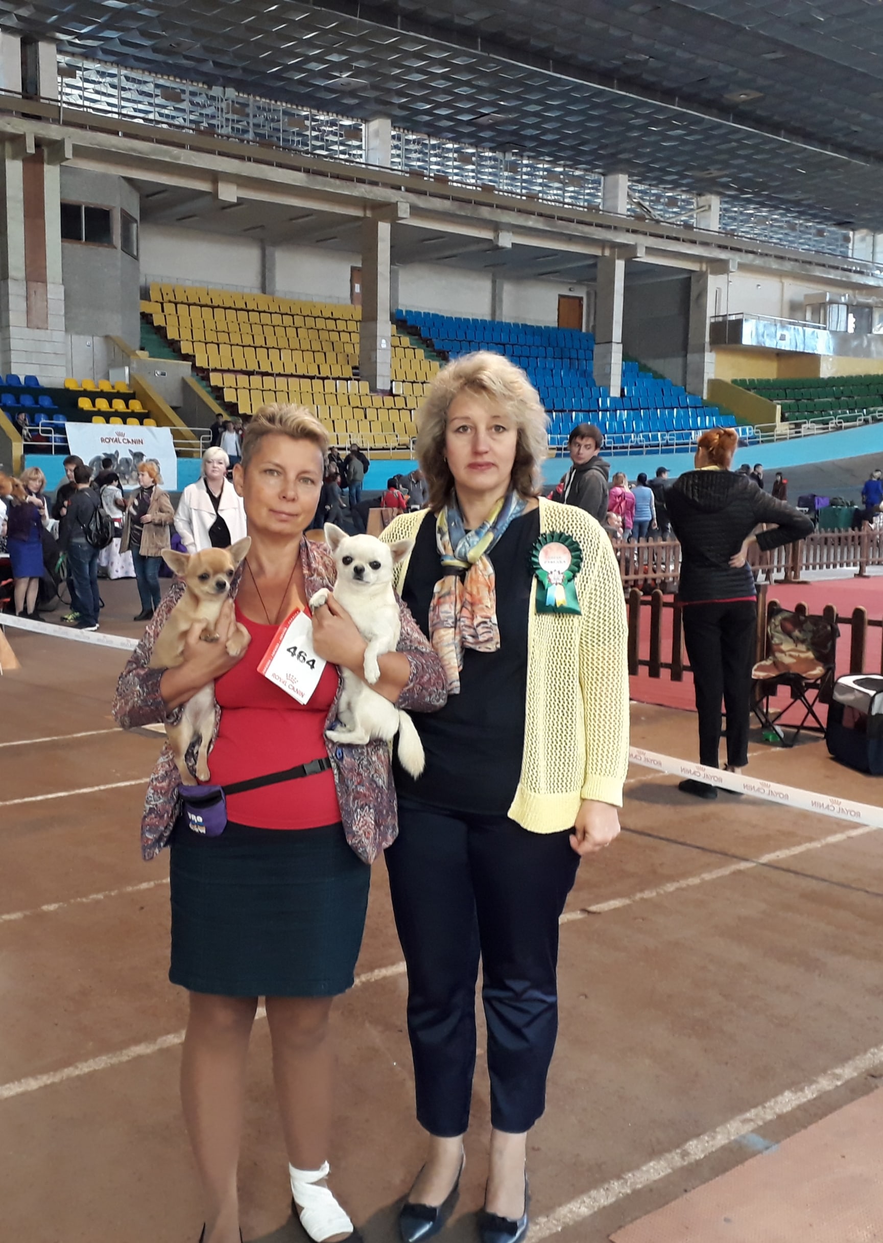 06-07.10.18 CACIB Осенний Львов Гарри