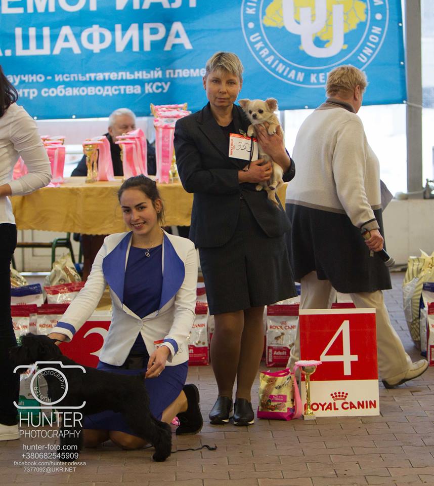 24-25.02.2018 CACIB FCI garmonia