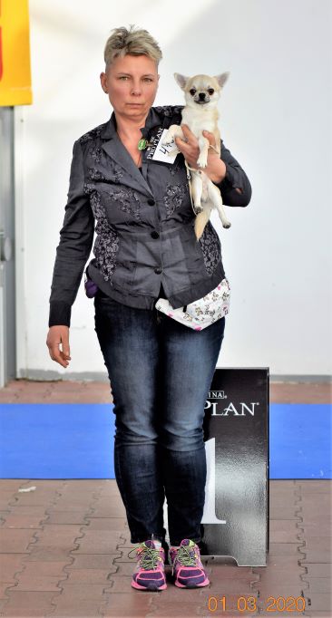 01.03.2020 Одесса Бестик 