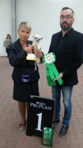 GLADIATOR GARRY BARDASH KENNEL
