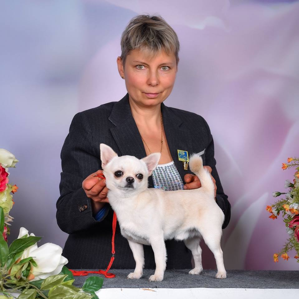 25.02.2018 Одесса CACIB FCI  garry