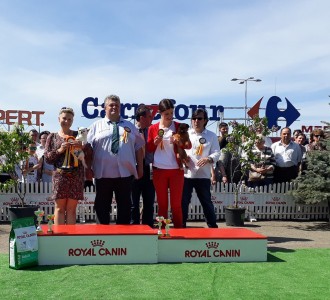 GLADIATOR GARRY BARDASH KENNEL