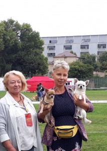 GLADIATOR GARRY BARDASH KENNEL