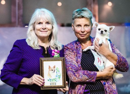 GLADIATOR GARRY BARDASH KENNEL