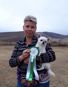 GLADIATOR GARRY BARDASH KENNEL