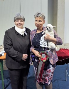 GLADIATOR GARRY BARDASH KENNEL